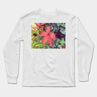 Autumn leaves in a Swiss forest Long Sleeve T-Shirt